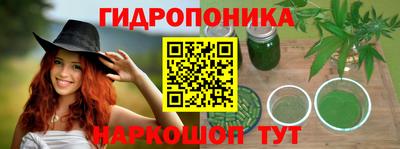 ПСИЛОЦИБИНОВЫЕ ГРИБЫ Кулебаки