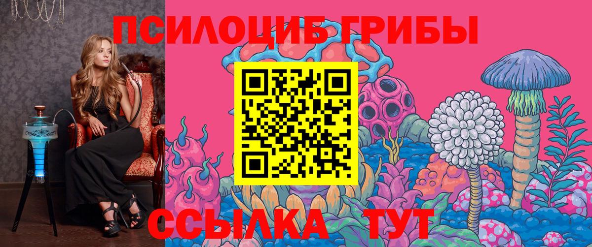 Зеленогорск  Галлюциногенные грибы мухоморы  Галлюциногенные грибы Psilocybine cubensis  Вход с VPN 